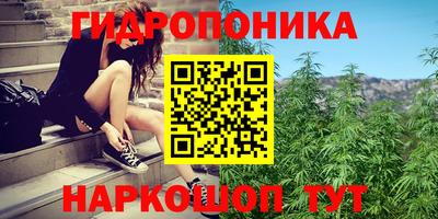 МДПВ Шебекино
