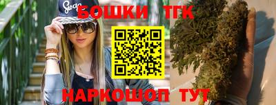 стаф Шахты