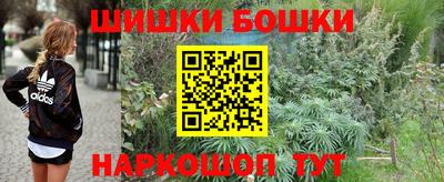 стаф Шахты