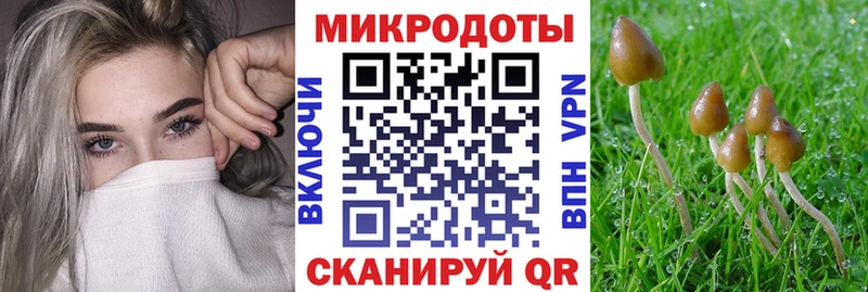 Галлюциногенные грибы Psilocybe  Северск 