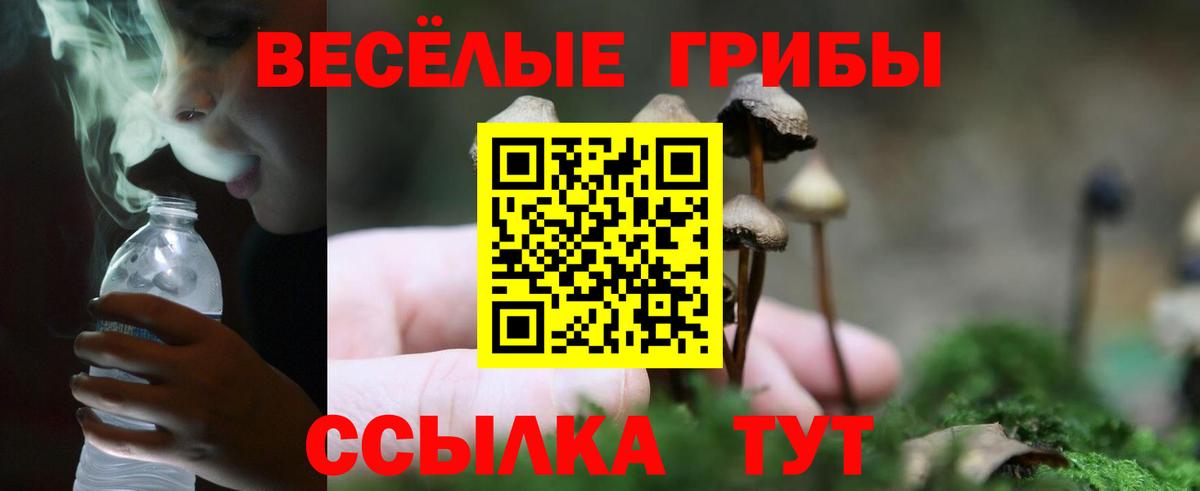 Псилоцибиновые грибы MAGIC MUSHROOMS  Вход с VPN  Северск 